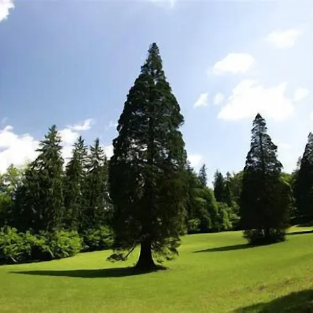 Aqua Roma 3* Rimske Toplice