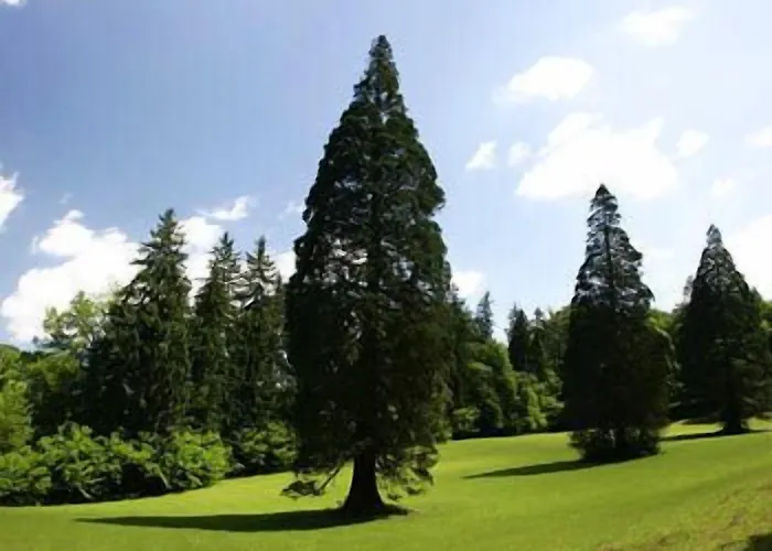 Aqua Roma 3* Rimske Toplice