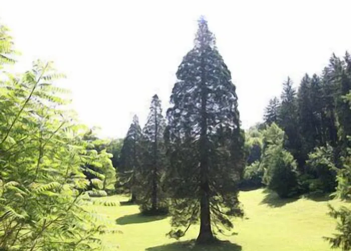 Aqua Roma 3* Rimske Toplice