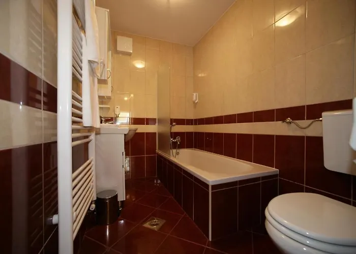 Hotel Aqua Roma Rimske Toplice